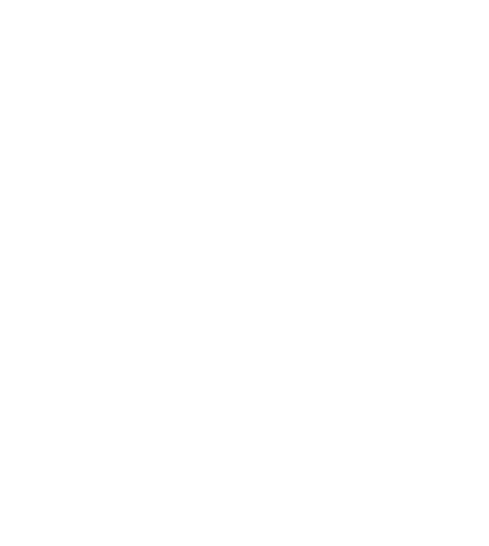 Ayra Synergy Logo